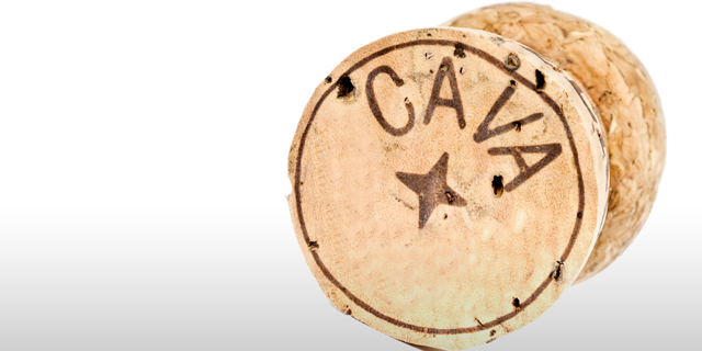 cava-cork-gradient-main